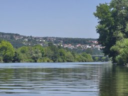 Mainschwimmen Juni 2026